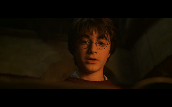 Harry Potter and the Chamber of Secrets - 800