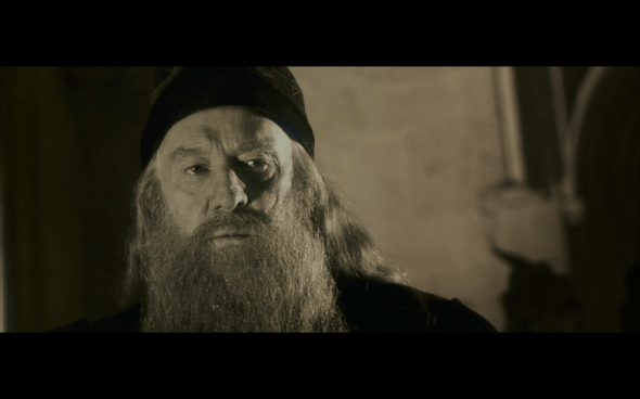 Harry Potter and the Chamber of Secrets - 825