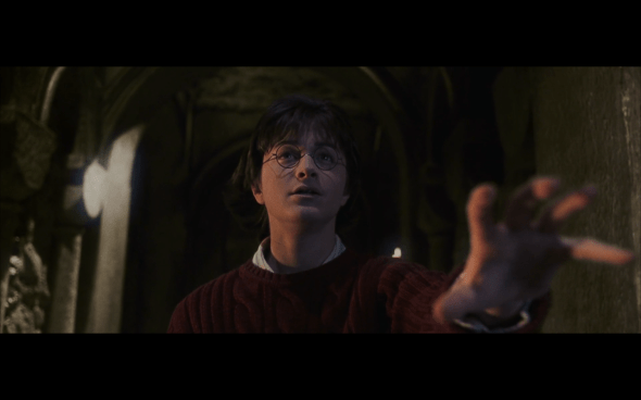 Harry Potter and the Chamber of Secrets - 837