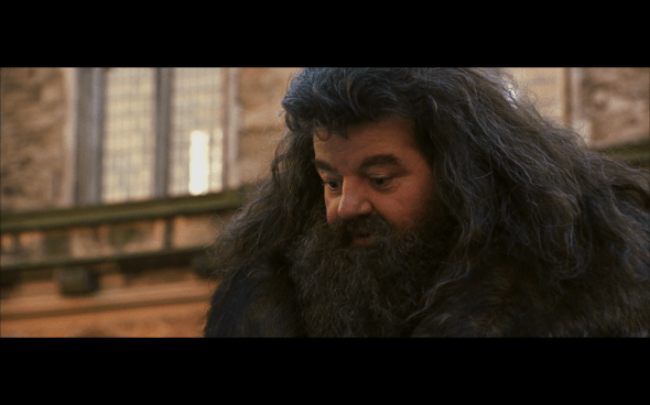 Harry Potter and the Chamber of Secrets - 844