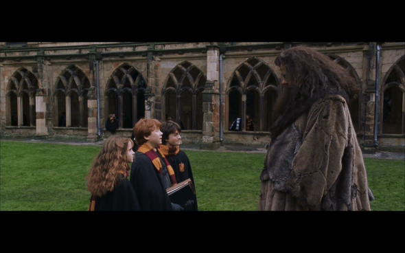 Harry Potter and the Chamber of Secrets - 846