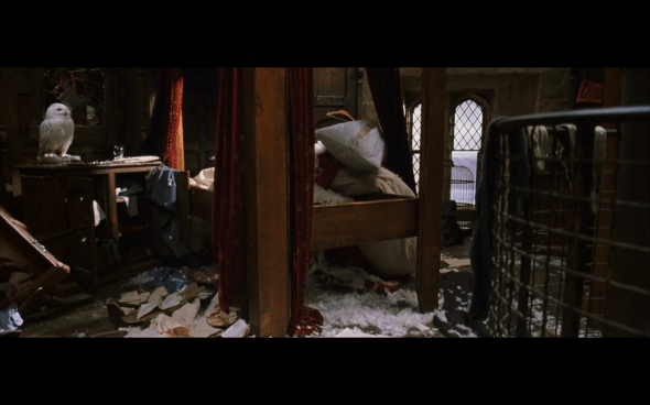 Harry Potter and the Chamber of Secrets - 847