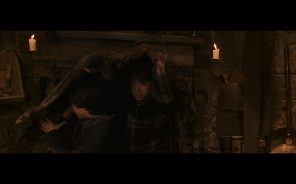 Harry Potter and the Chamber of Secrets - 859