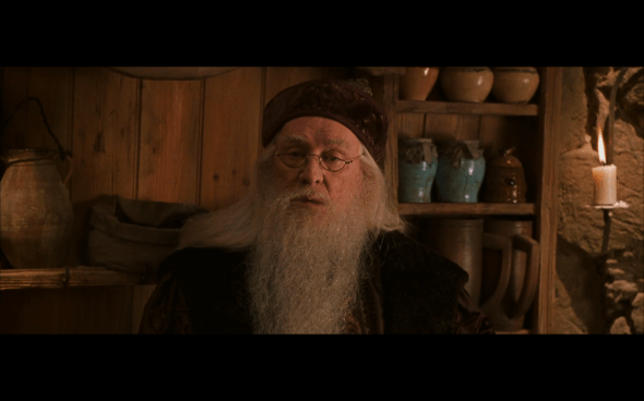 Harry Potter and the Chamber of Secrets - 866