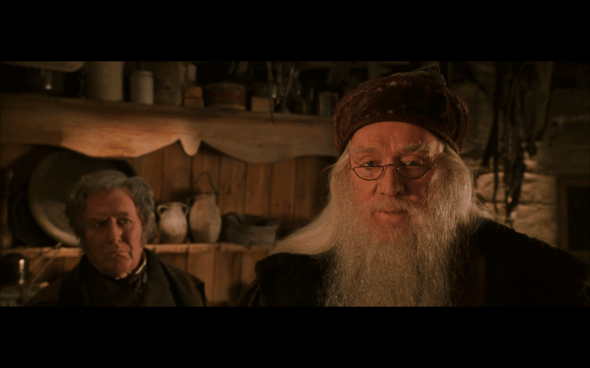 Harry Potter and the Chamber of Secrets - 870