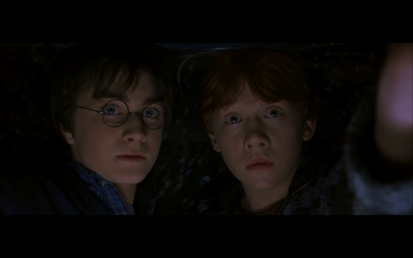Harry Potter and the Chamber of Secrets - 871