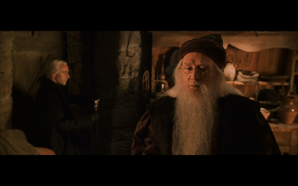 Harry Potter and the Chamber of Secrets - 876