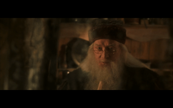 Harry Potter and the Chamber of Secrets - 878