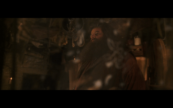 Harry Potter and the Chamber of Secrets - 879