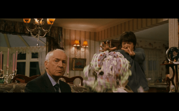 Harry Potter and the Chamber of Secrets - 88