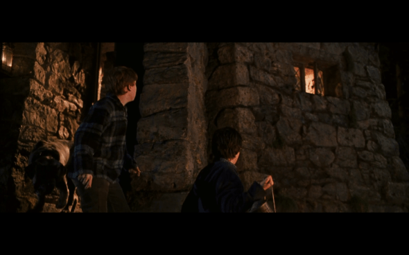 Harry Potter and the Chamber of Secrets - 882