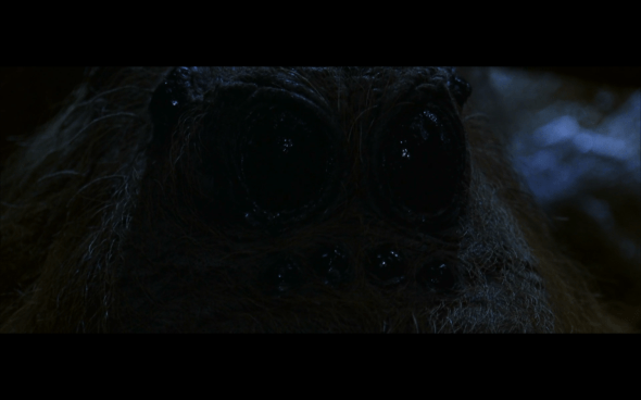 Harry Potter and the Chamber of Secrets - 892