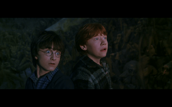 Harry Potter and the Chamber of Secrets - 900