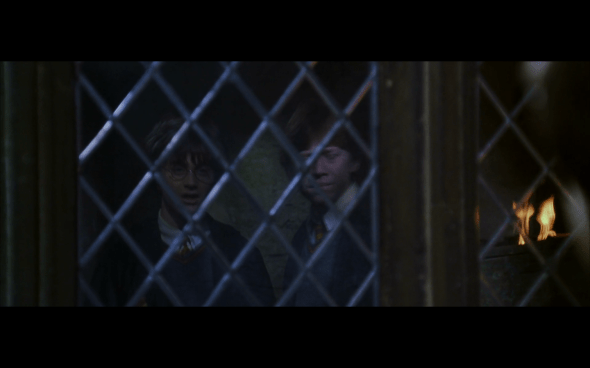 Harry Potter and the Chamber of Secrets - 920