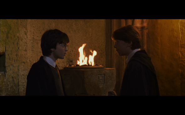 Harry Potter and the Chamber of Secrets - 921