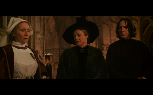 Harry Potter and the Chamber of Secrets - 925