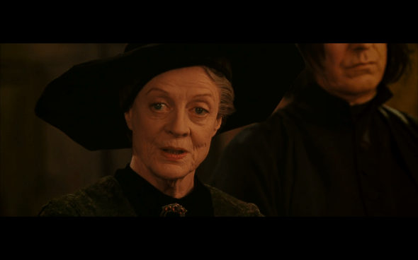 Harry Potter and the Chamber of Secrets - 929