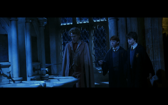 Harry Potter and the Chamber of Secrets - 956