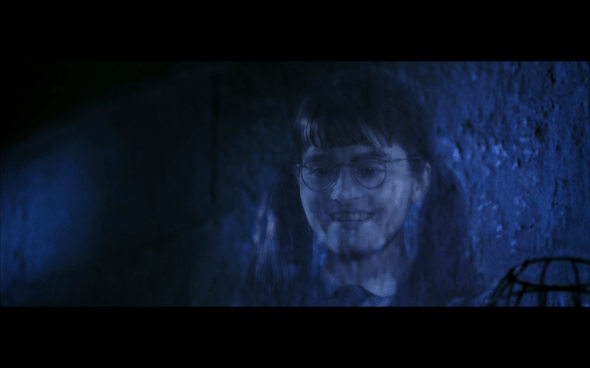 Harry Potter and the Chamber of Secrets - 966