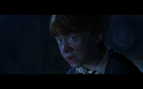 Harry Potter and the Chamber of Secrets - 978