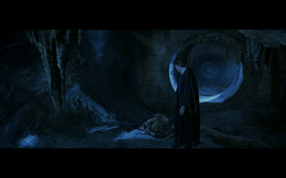 Harry Potter and the Chamber of Secrets - 989