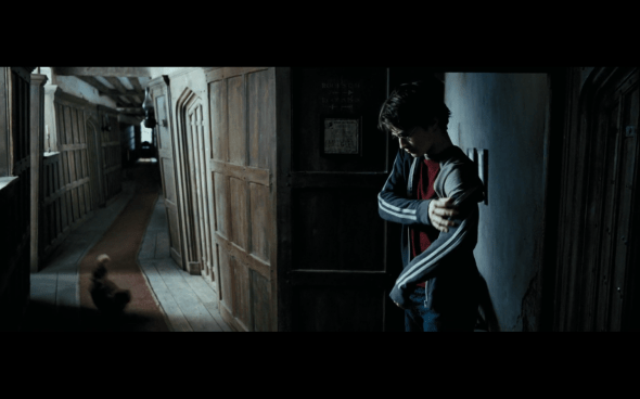 Harry Potter and the Prisoner of Azkaban - 176