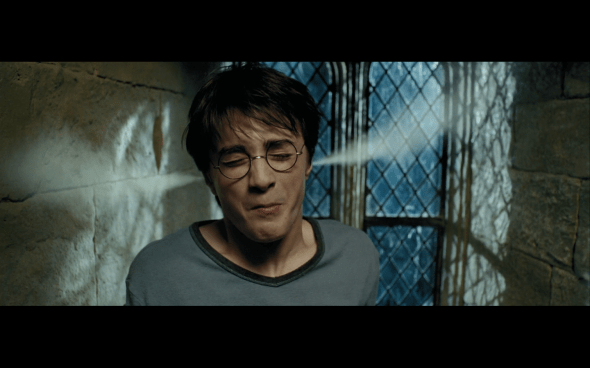 Harry Potter and the Prisoner of Azkaban - 303