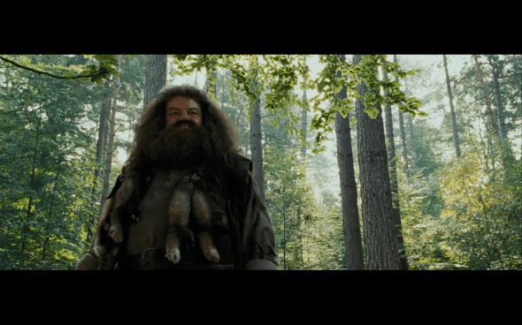 Harry Potter and the Prisoner of Azkaban - 375