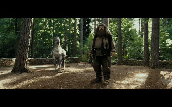 Harry Potter and the Prisoner of Azkaban - 378