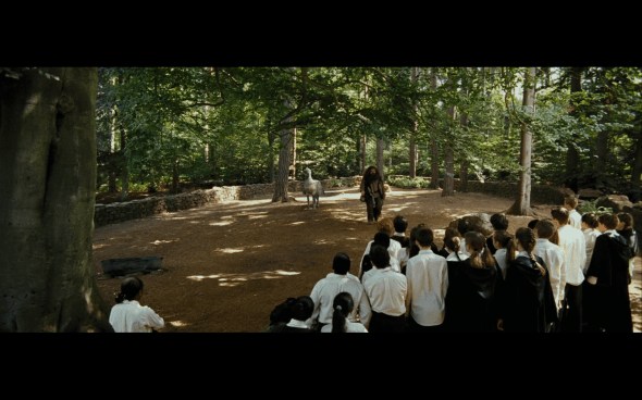 Harry Potter and the Prisoner of Azkaban - 379