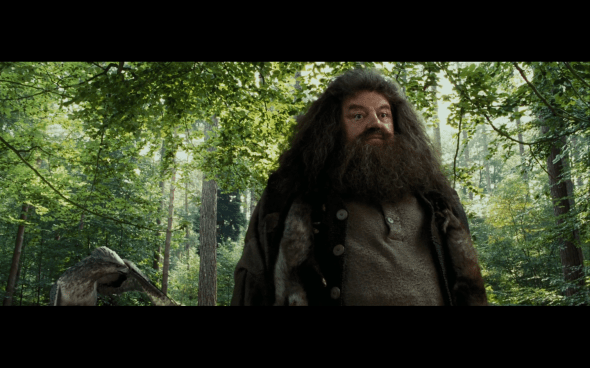 Harry Potter and the Prisoner of Azkaban - 381