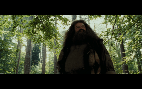 Harry Potter and the Prisoner of Azkaban - 383