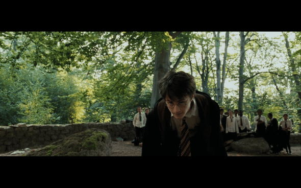 Harry Potter and the Prisoner of Azkaban - 387