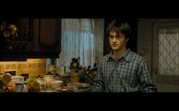 Harry Potter and the Prisoner of Azkaban - 40