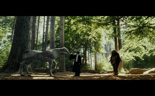 Harry Potter and the Prisoner of Azkaban - 402