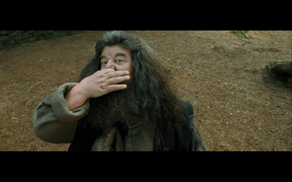 Harry Potter and the Prisoner of Azkaban - 430