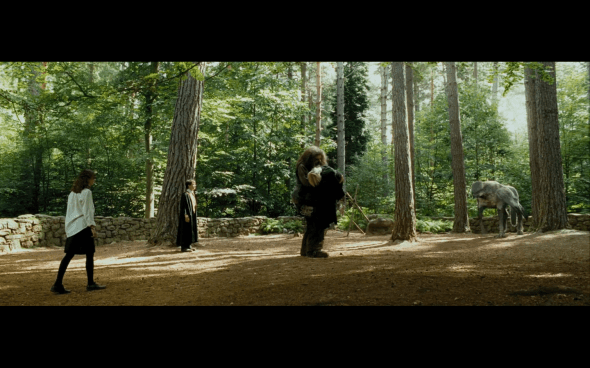 Harry Potter and the Prisoner of Azkaban - 439