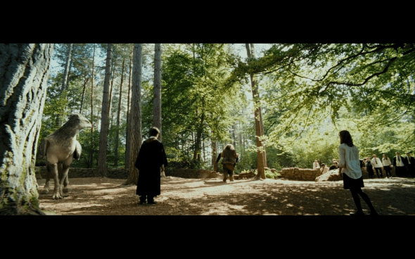 Harry Potter and the Prisoner of Azkaban - 442