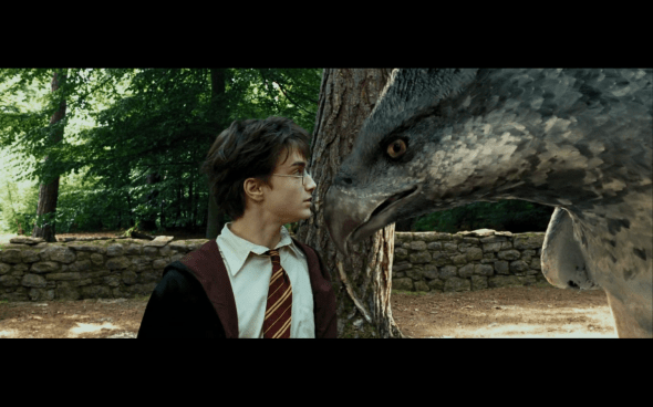 Harry Potter and the Prisoner of Azkaban - 443