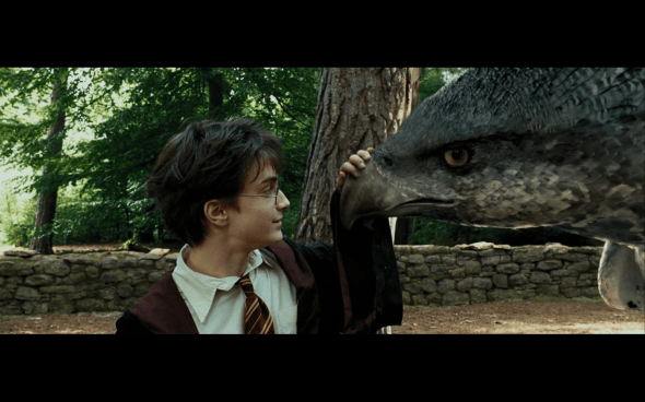 Harry Potter and the Prisoner of Azkaban - 444