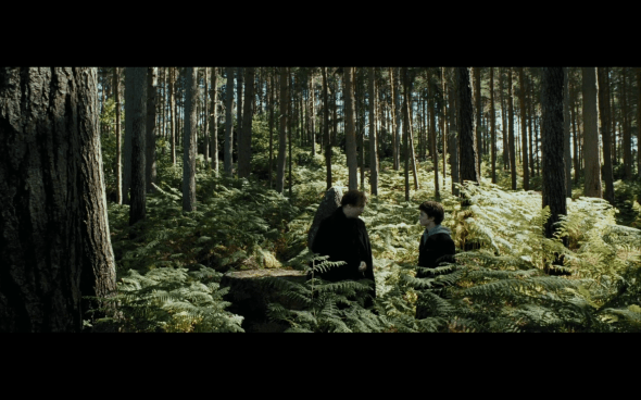 Harry Potter and the Prisoner of Azkaban - 604