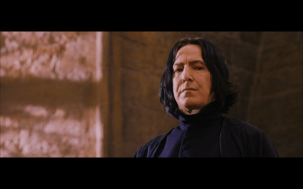 Harry Potter and the Sorcerer's Stone - 438