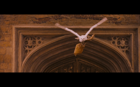 Harry Potter and the Sorcerer's Stone - 441