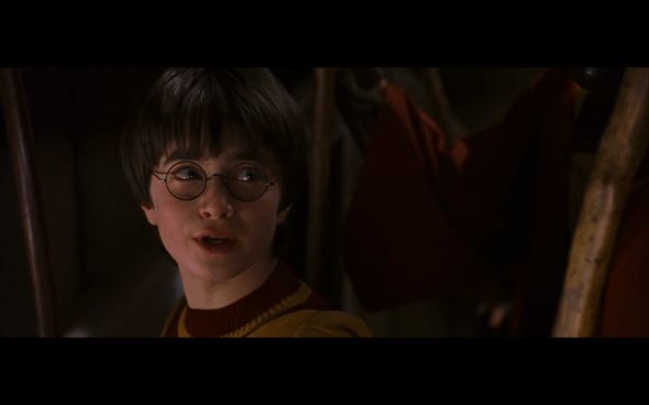Harry Potter and the Sorcerer's Stone - 453