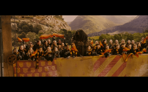 Harry Potter and the Sorcerer's Stone - 462