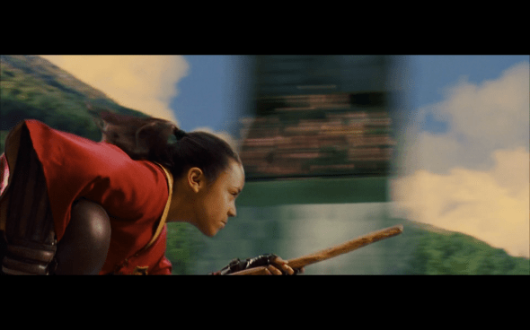 Harry Potter and the Sorcerer's Stone - 469