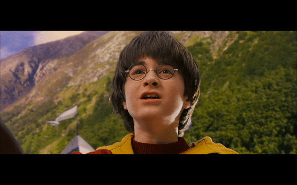 Harry Potter and the Sorcerer's Stone - 477