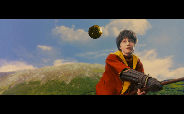 Harry Potter and the Sorcerer's Stone - 479