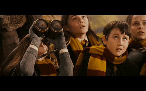 Harry Potter and the Sorcerer's Stone - 481