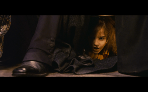 Harry Potter and the Sorcerer's Stone - 489